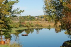 pond