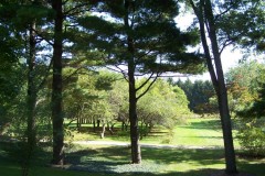 orchard2