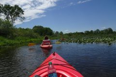Kayaking-1024x768