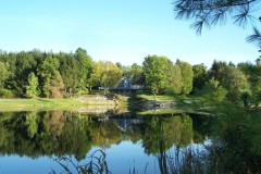 summerpond2